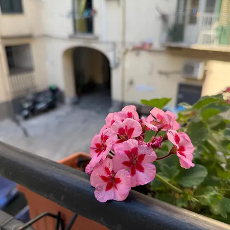 Gasthof Hrd Luxury 4*